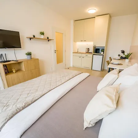 Apartia Brno-center *