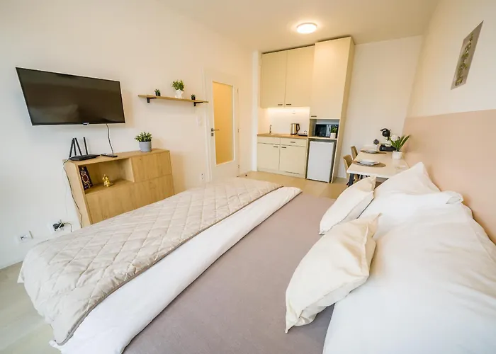 Apartia Brno-center *